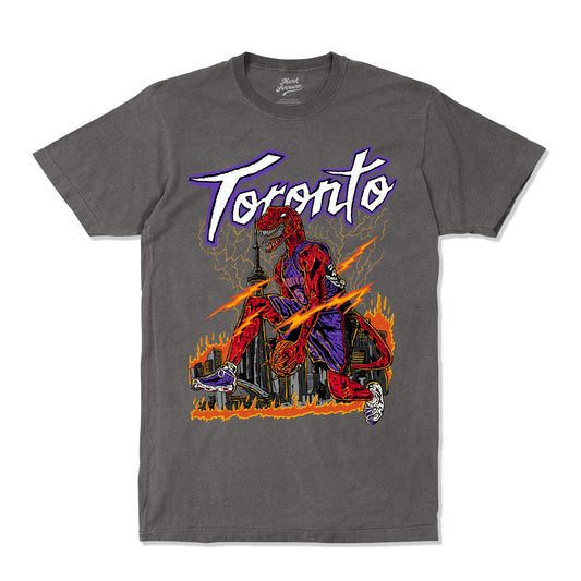 Toronto Vince Carter Throwback Tee